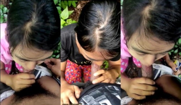 လမ်းဘေးမှာ စော်‌လေးကို လီးစုပ်ခိုင်းတဲ့ ဘဲကြီး