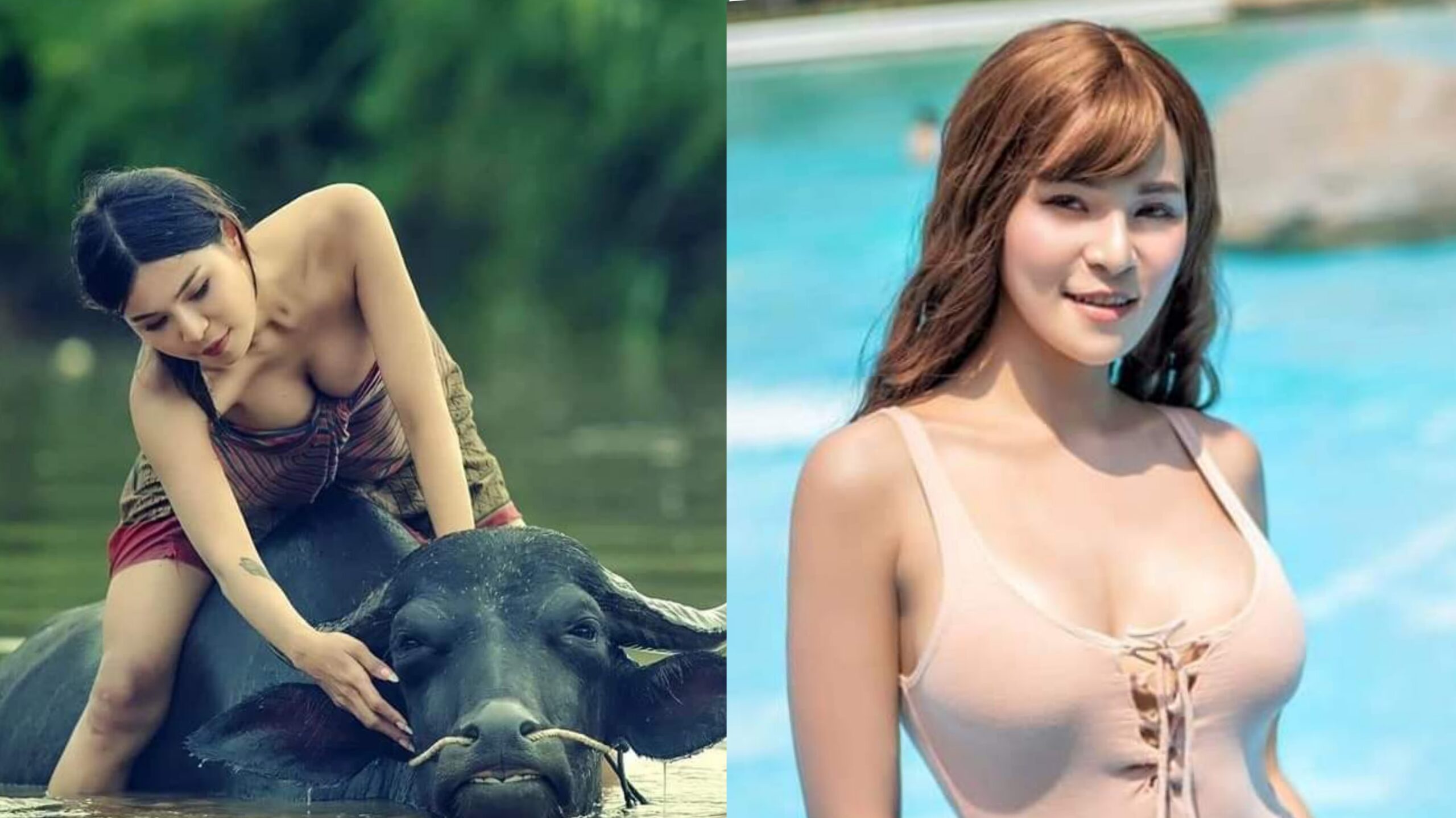 နိင်ငံခြား ဘဲကြီးနဲ့ ဖူးပွင့်ခိုင် HD အသစ်