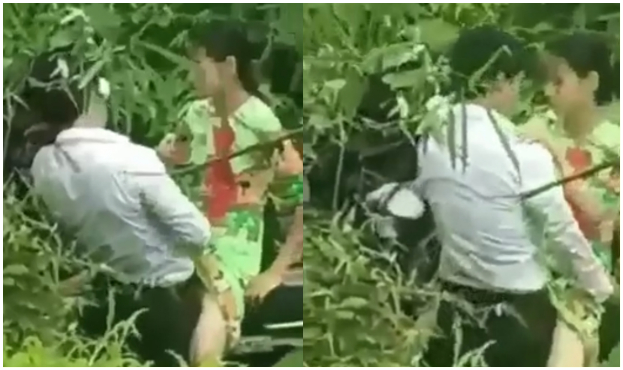 တောထဲ ရှယ်လိုးနေတဲ့ မြန်မာအတွဲ