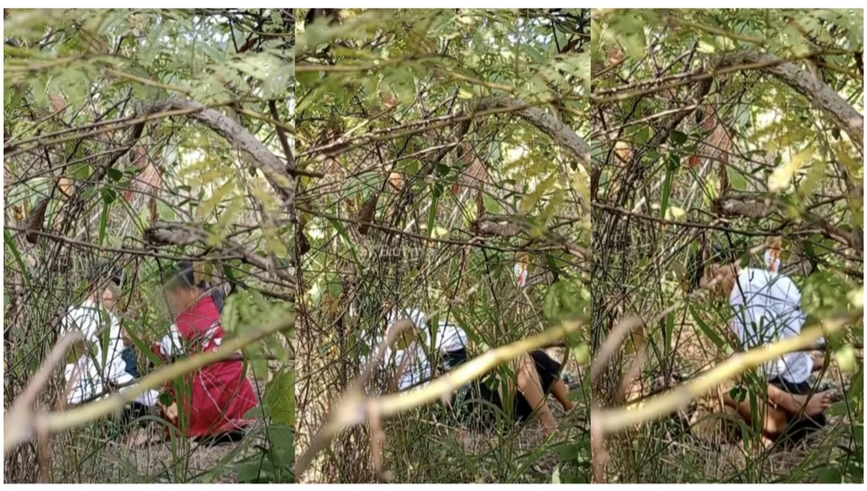 တောထဲ ရှယ်တီးနေကြတဲ့ ကျောင်းသားအတွဲ